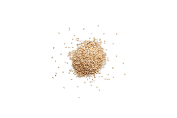 Closeup organic whole raw sesame seeds isolated on a transparent background with shadows from above, top view, png