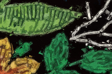 Oil painting and various floral illustrations of Paisley's beautiful wedding