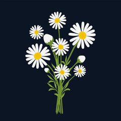 Bouquet of daisy flowers. Chamomile flowers in flat style for March 8 and Valentine's Day. Beautiful bouquet of daisies. Spring floral illustration. Natural Floral Decoration. Flat vector illustration