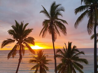Fototapeta na wymiar Sunset with palm trees on a paradise island