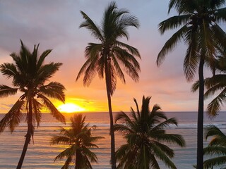 Sunset with palm trees on a paradise island