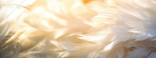 Soft Beige Feathers Close-up Texture background. Close-up of soft beige feathers, creating a gentle and soothing texture, ideal for backgrounds or calm themed designs. - obrazy, fototapety, plakaty