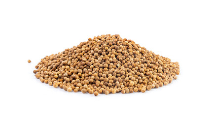 Coriander Seeds Isolated, Cilantro Grains, Chinese Parsley Seed Group, Dry Spices, Seasonings