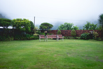 Landscape lawn with green lawn grass in home garden. home garden design. Neat paver patio with seating area and small garden near wooden fence