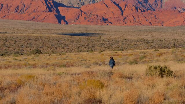 Young cowgirl walking alone through the desert of Nevada - travel photography