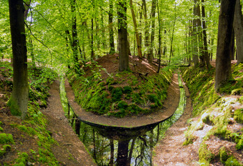 Fototapete bei efototapeten.de bestellen   