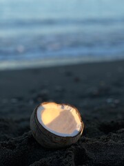 coconut on the beach