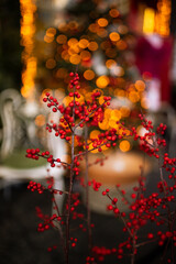 Obraz na płótnie Canvas Red Christmas berries on a branch with golden bokeh light on background