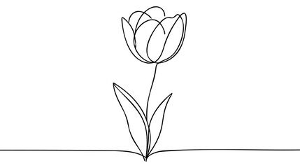 Tulip one line drawing.Abstract flower continuous line. Minimalist contour drawing of tulip.