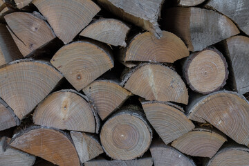 Abstract background made with wooden trunks of various freshly harvested trees stacked on top of...