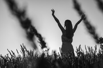 Black and white photo, a young girl in a white summer dress, raising her hands to the top, on a lavender field, rear view. Lavender fields near Lviv, Ukraine. Sunset. Selective focus