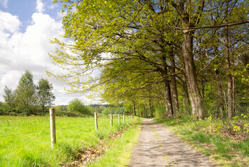 Pannenhoef nature reserve near Rijsbergen