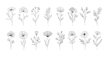 Fototapeta premium Minimalist linear flowers. Doodle elegant floral elements, nature botanical leaves branches, fine line tattoo sketch. Vector set