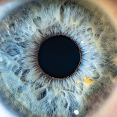 Male Blue Colored Eye With Long Lashes Close Up. Structural Anatomy. Human Iris Wide Open. Super...