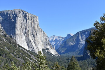 California's Special Rocky Bread Basket 1