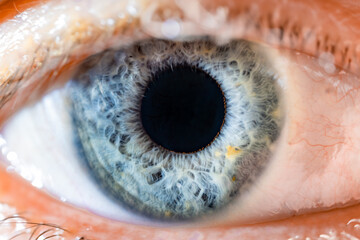 Male Blue Colored Eye With Long Lashes Close Up. Structural Anatomy. Human Iris Wide Open. Macro Detail.