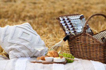picnic basket. boho style picnic on the field