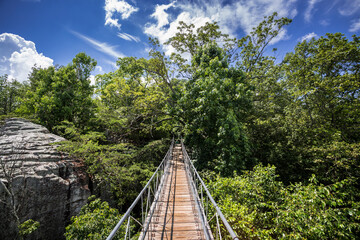 Fototapeta na wymiar Lookout Mountain Gerogia, Rock City suspension bridge. Located nearby to Chattaanooga Tennesse