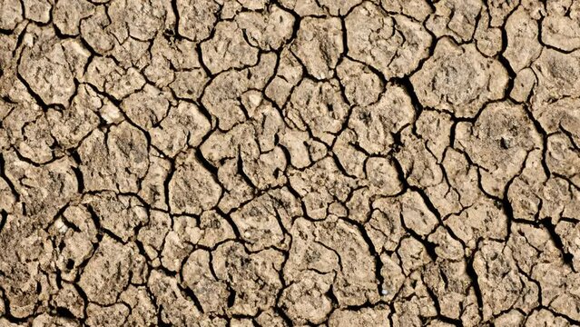 global warming problem dried cracked soils, drought and thirst. climate disorder
