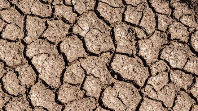 global warming problem dried cracked soils, drought and thirst. climate disorder
