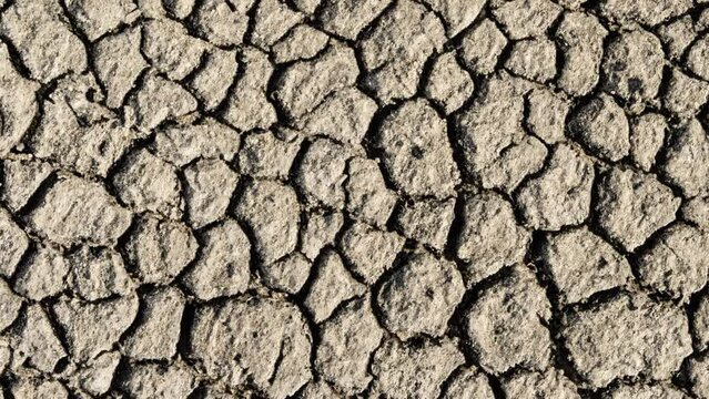 global warming problem dried cracked soils, drought and thirst. climate disorder
