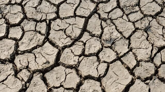 global warming problem dried cracked soils, drought and thirst. climate disorder
