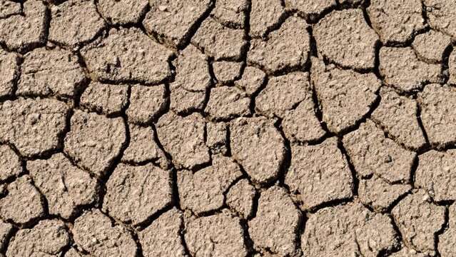 global warming problem dried cracked soils, drought and thirst. climate disorder
