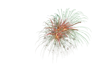 Isolated brilliant burst of colorful fireworks overlay