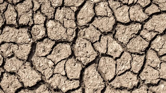 global warming problem dried cracked soils, drought and thirst. climate disorder
