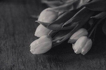 kwiat, kosz, bukiet, roślin, charakter, kwiatowy, wiklina, beuty, dekoracja, lato, barwa, zółty, gras, kiść © Magdalena