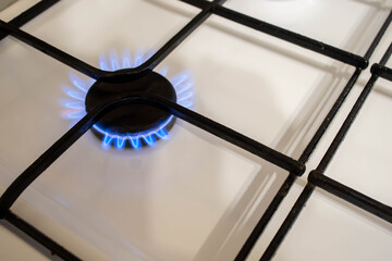 Close up shot of blue fire from domestic kitchen stove top. Gas cooker with burning flames of...