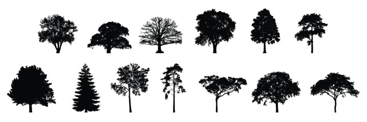 highly detailed tree silhouette set - obrazy, fototapety, plakaty