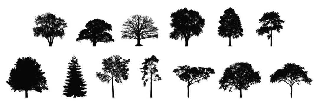 highly detailed tree silhouette set