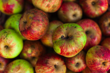 Organic Apples Full frame Close Up