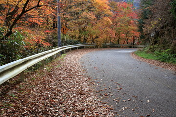 渓谷沿いの道路を走る　小田深山渓谷　(愛媛県）
