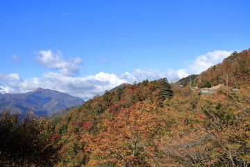 剣山系の紅葉を眺める　（四国　徳島県　みどりの一里塚付近）