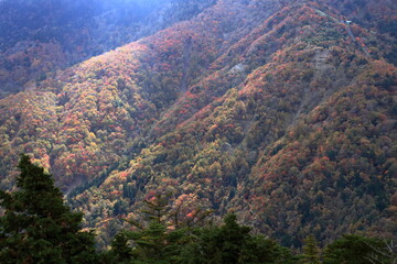 Fototapeta premium 剣山の山肌を照らす光（日本百名山 徳島県）
