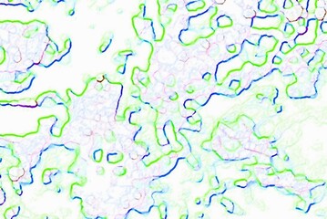 Green blue bright background of curved lines of liniments