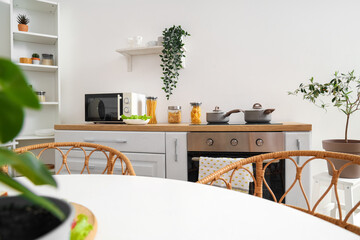 Interior of light kitchen with green plants, counters and shelves