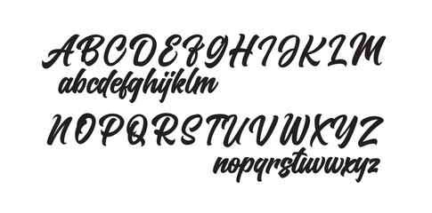 Vector Hand Drawn Alphabet. Brush Paint Letters. Decorative script typography.	