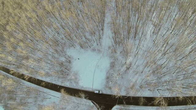 T-shape crossroad in snowbound forest at winter day. Aerial view