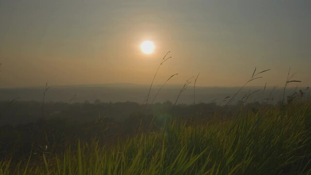 Golden sun hangs above a grassy field at dusk, with wild blades swaying in the breeze and distant hills fading into a warm hazy horizon.