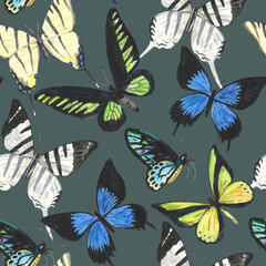 Watercolor seamless pattern with beautiful tropical butterflies. Hand dawn realistic illustration.