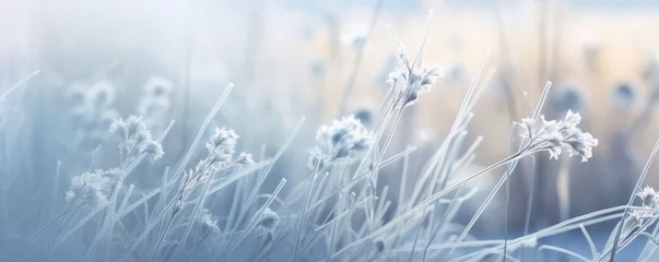Fotobehang frost on grass © Pixelmagic