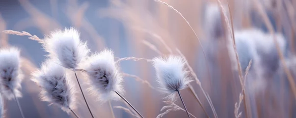 Tuinposter grass in the wind © Pixelmagic