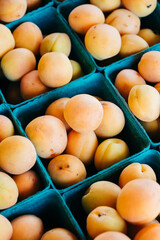 Farmers Market Bounty: Apricots Showcased in Eco-Friendly Baskets, Fresh and Vibrant