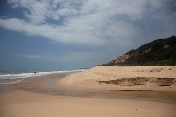 Fototapeta na wymiar beach in the morning,beach and sea, Bahia, Brasil , Trancoso ,cliffs 