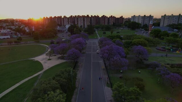Camino de los Jacarand&aacute;s a contraluz. Barrio de Villa Lugano, Ciudad Aut&oacute;noma de Buenos Aires, Argentina.