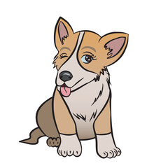 Happy red Welsh Corgi puppy illustration. European breed dog. Vector isolated on transparent background.