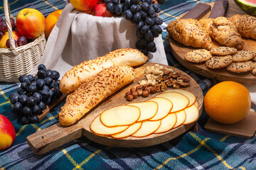 View of different food for summer picnic on checkered blanket, closeup with selective focus. The...